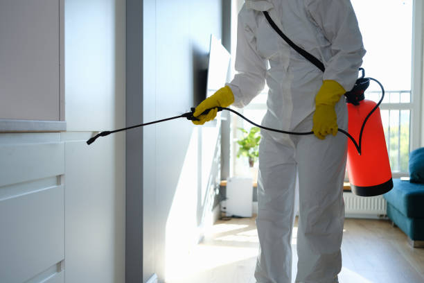 Mold Odor Removal Services in Mclouth, KS